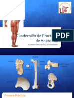 Cuadernillo Prácticas ANATOMÍA