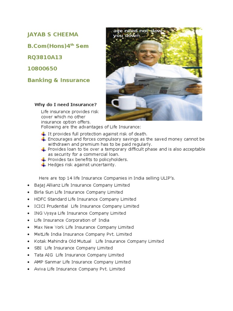 13 JS Cheema LPU Banking Term Paper | PDF | Life Insurance | Insurance