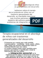 rol_terapia_ocupacional_Barberio.ppt