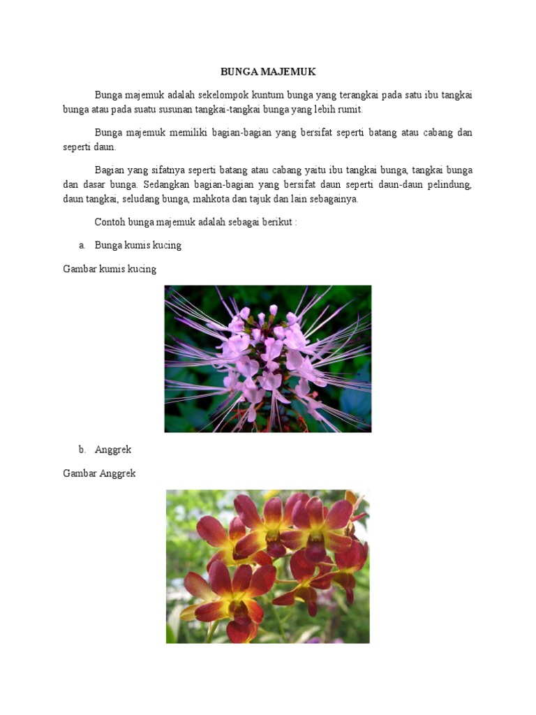 24+ Contoh Bunga Tunggal Dimiliki Oleh Tumbuhan yang Wajib