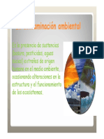 contaminaciondelmedioambientepowerpoint-100904103248-phpapp01.pdf