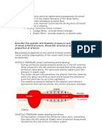 Arteries Summary 