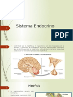 Exposi Sistema Endocrino