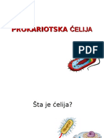 02 - Prokariotska Celija