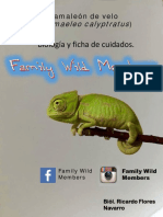 Camaleon de Velo Ficha de cuidados.pdf
