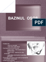 BAZINUL  OSOS