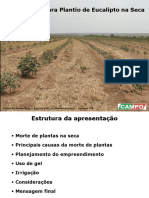 Tecnologias para Plantio de Eucalipto Na Seca