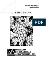Cultivo de Uva PDF