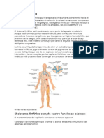 El Sistema Linfático.docx