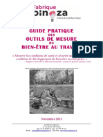 Guide Des Indicateurs de Bien Etre Au Travail FS FINAL