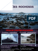 Costões rochosos e praias arenosas