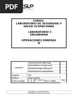 Info 5 Seguridad- Ergonomia