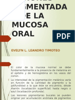 Lesiones Pigmentadas de La Mucosa Oral - Presentacion