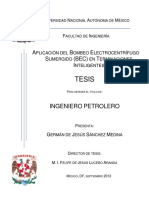 Tesis.pdf