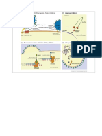 ART Drugs Mechanism of Action