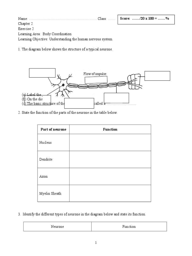 Exercise 2 | PDF