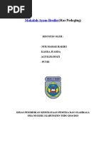 Download Makalah Ayam Broiler by Kanda Juanda SN312558288 doc pdf