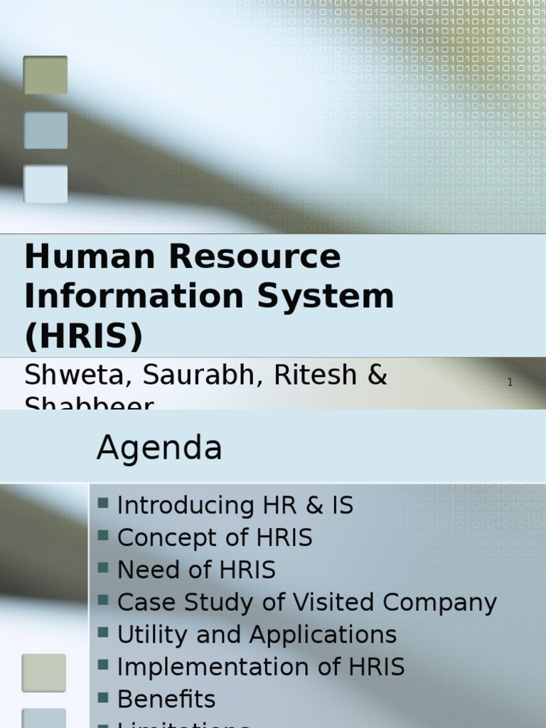 Overview of HRIS Applications and Benefits | PDF | Accountability ...