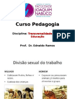 Divisão Social e Sexual Do Trabalho (3)