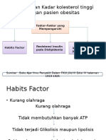 Hubungan Kolesterol Meningkat Dengan Obesitas