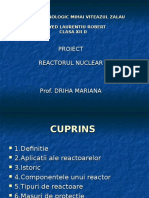 Reactorul nuclear.ppt