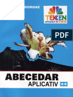 Abecedar Aplicativ Vol 2 PDF