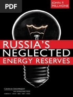Download Russias Neglected Energy Reserves by Carnegie Endowment for International Peace SN31258593 doc pdf