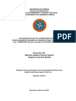 FACTIBILIDAD DE USO DE LA BERENJENA EN DISTINTAS PROPORCIONES EN UNA MEZCLA FARINACEA TRIGO (Triticum Sativum Lam) - BERENJENA (Solanum Melongena) CON FINES PANIFICABLES