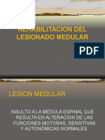 rehabilitaciondellesionadomedularbvrtual-100427070228-phpapp01