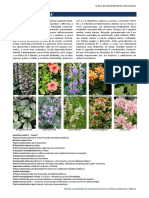 Flora Ornamental de Murcia. Familia Acanthaceae