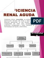 Insuficiencia Renal Aguda