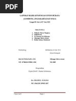 Download Laporan Hasil Kunjungan Karya Wisata Xi a1 by oing mirza SN312612509 doc pdf