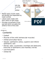 Orbit Anatomy