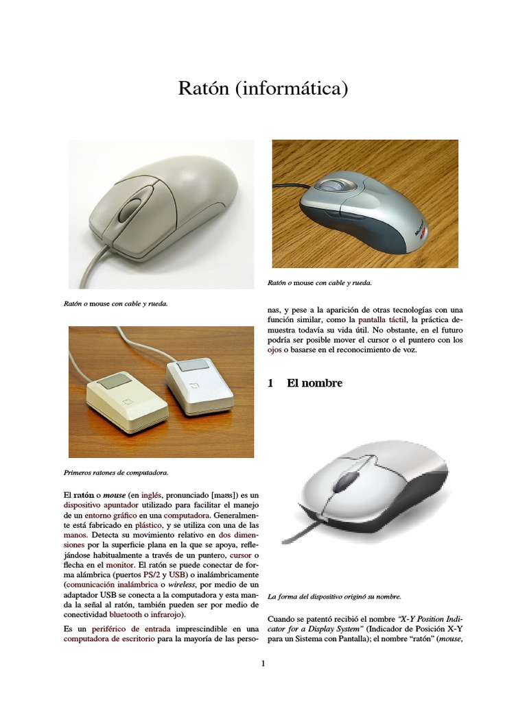 Ratón (Informática) | PDF | Point and Click | Informática