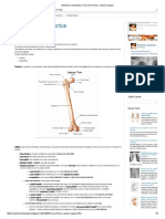 Medicine Conspectus - Femurul (Femur)