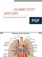 Metabolisme Otot Jantung 