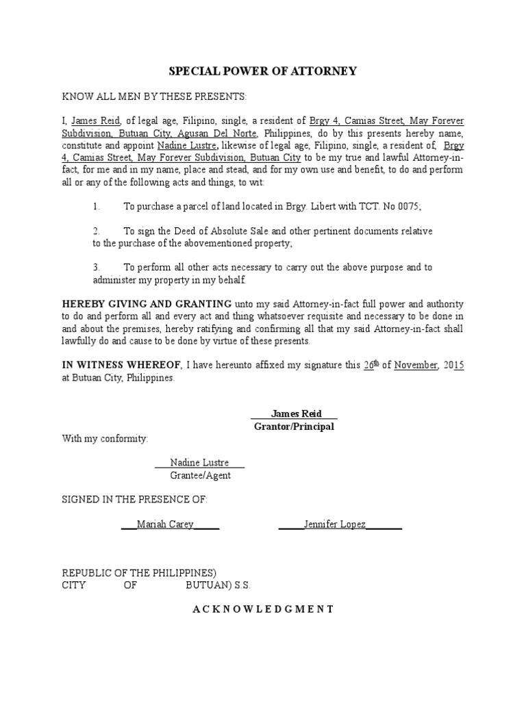 Special Power of Attorney HEREBY GIVING AND GRANTING Unto My Said