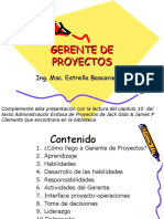 2-Gerente Proyectos