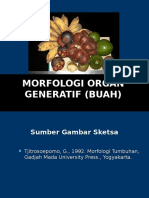 S1-Morfologi Organ Generatif (BUAH) 2 (1)