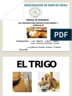 Diapositivas Del Trabajo Del Trigo Luis