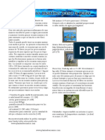 acuario marino para principiantes.pdf