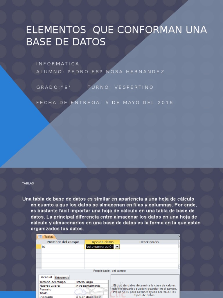 Elementos Que Conforman Una Base de Datos Macro