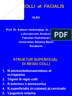 Kuliah Anatomi Situs Colli Et Facialis - Prof Satimin Hadiwidjaja