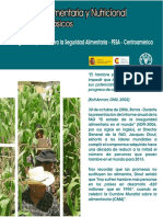 SEGURIDAD ALIMENTARIA Y NUTRICIONAL ConceptosBasicos1.pdf