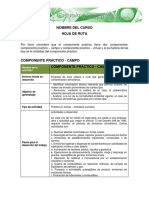 1 - Formato - Hoja - de - Ruta - Control de La Contaminación Afmosferica PDF