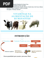 Vitaminas-Nutrição