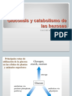 Glucolisis y Catabolismo de Hexosas (1)
