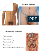 9 Trayectoinguinal 131105093057 Phpapp01