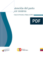 gpc-atenciondelpartoporcesarea2015-160120195522