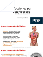 Infecciones Por Estafilococos